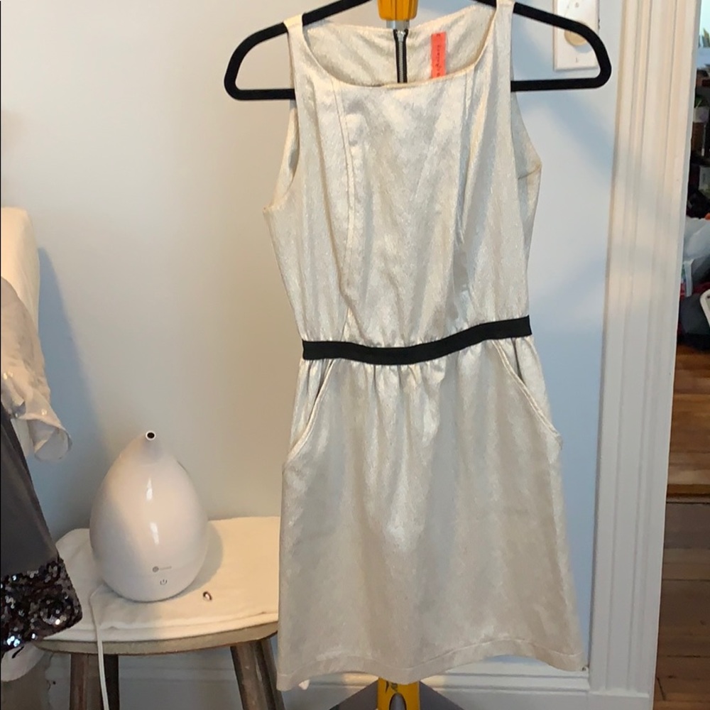 Silver New Years Dress with Black Waist Detail